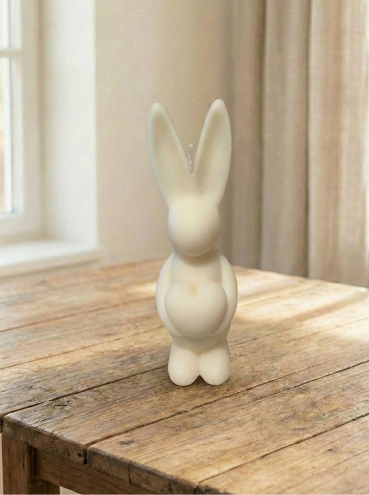 Coelho com coração